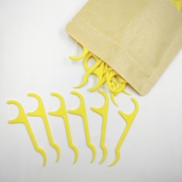 Fil dentaire populaire compostable au charbon de bambou, saveur menthe, pour nettoyer entre les dents, compatible OEM, outils de nettoyage ménager