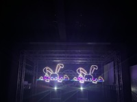 Máquina de Luces Láser RGB para Fiestas de Boda, Nueva Tendencia, 5W 6W ILDA DMX, Láser con Sonido para Discotecas, Animación Láser para Fiestas