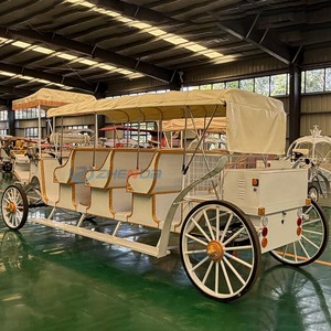 Carroza Turística Eléctrica de 4 Filas, Totalmente Metálica, Personalizable con Toldo, para Parques Temáticos, Atracciones Turísticas, Desfiles y Eventos - Product Image 4