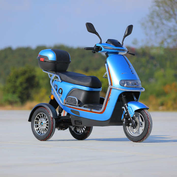 Electric Motorcycle Tricycle - 800W Motor & 3 Wheels