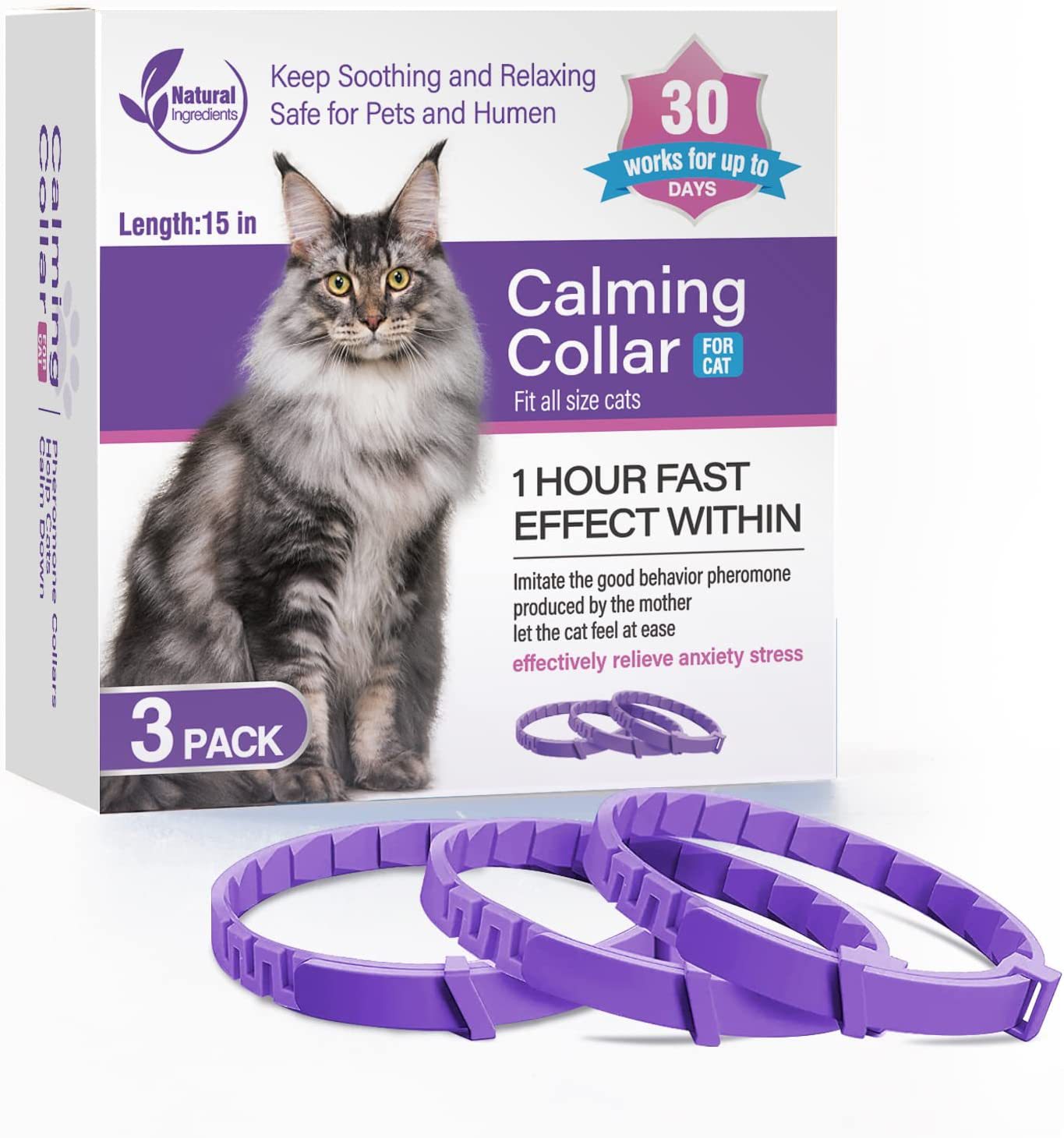 3 pièces chat violet
