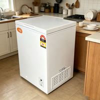 Congélateur horizontal à congélation rapide, grande capacité 145L, 110-220V, réfrigérateur adapté à un usage domestique et commercial
