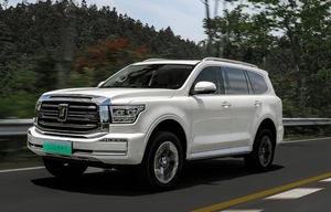 Nuevo Precio de coche hecho en China tanque de sistema de mezcla de luz de gasolina <span class=keywords><strong>500</strong></span> SUV coche inteligente SUVS coches de gasolina - Product Image 2