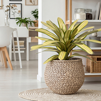 Tige de feuillage d'agave artificielle, feuilles vertes rayées pour la décoration intérieure et extérieure, patio, hôtel et boutique