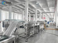 Fruit- en groente-inspectie, sorteer-, week-, was- en drooglijn, voedselverwerkingsapparatuur