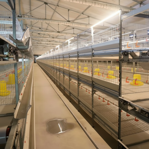 Mangeoire modulaire anti-éclaboussures à combinaison parfaite pour l'élevage coopératif de quartier Cages à poulets polyvalentes - Product Image 1