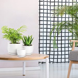 Fasmov vasi per <span class=keywords><strong>piante</strong></span> in ceramica foro di drenaggio e piattino rotondo fiore moderno <span class=keywords><strong>Cactus</strong></span> succulento tutte le <span class=keywords><strong>piante</strong></span> di casa <span class=keywords><strong>fiori</strong></span> succulente bianco - Product Image 5
