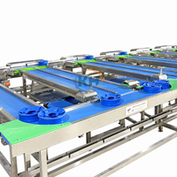 KEHONG KHWS PLC-gestuurde 380V watermeloen, durian, mango, groente, fruit, wortel reinigings- en optische infrarood sorteermachine voor fruit