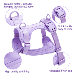 Venta al por mayor de fábrica diseñadores de logotipo personalizado púrpura PVC suave caza impermeable pequeño perro mascota collar y correa arnés conjunto - Product Image 2