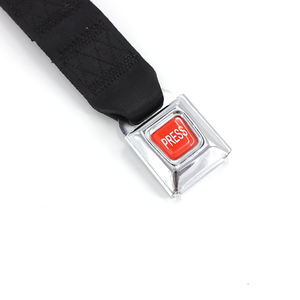 Su misura di alta qualità in metallo cintura di sicurezza extender auto piccola fibbia della cintura di sicurezza - Product Image 3