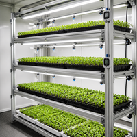 Conteneur d'agriculture verticale modulaire certifié CE, ferme hydroponique intelligente pour la culture de légumes à feuilles vertes, prix d'usine, exportation