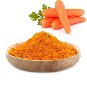Natural 100% puro vegetal extrato cenoura pó