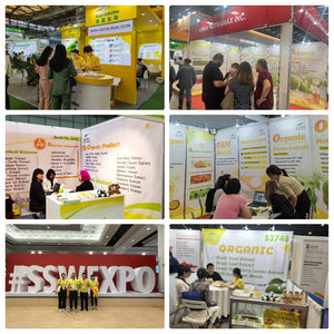 Çin toptan fiyat 80% Silymarin saf doğal organik bitkisel karaciğer desteği için süt devedikeni ekstresi toz - Product Image 5