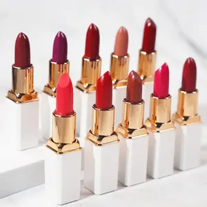 Custom Logo Hot Sale Women Lip Makeup 100% Vegan Cruelty Free Classic Fashion Matte Black Bullet Lipstick