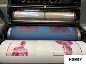 Stampante Offset Monocolore Heidelberg KORS Economica per Uso Domestico in Vendita - Product Image 6