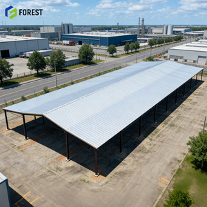 Hangar Agricole 20x30x10 en Acier Préfabriqué, Stable, Solide, Propre, Efficace, à Toit Fixe, Économique, Micro-Entrepôt - Product Image 1