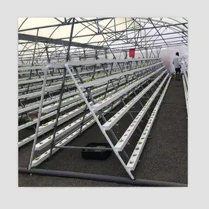 Vertikale DFT hydrokultur Bauernhof für verkauf salat vertikale landwirtschaft systeme