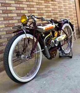 전동 자전거 가솔린 엔진 가스 자전거 자전거 (TF-GE 025)