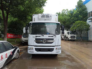Camion de transport isotherme pour poussins d'un jour de 6,8 m avec système de ventilation pour la livraison aux couvoirs et l'approvisionnement des fermes avicoles - Product Image 2