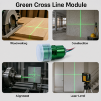 Module laser à ligne croisée verte 520nm 100mW, mise au point réglable, certifié CE RoHS, haute précision, garantie 6 mois, Chine, 15g