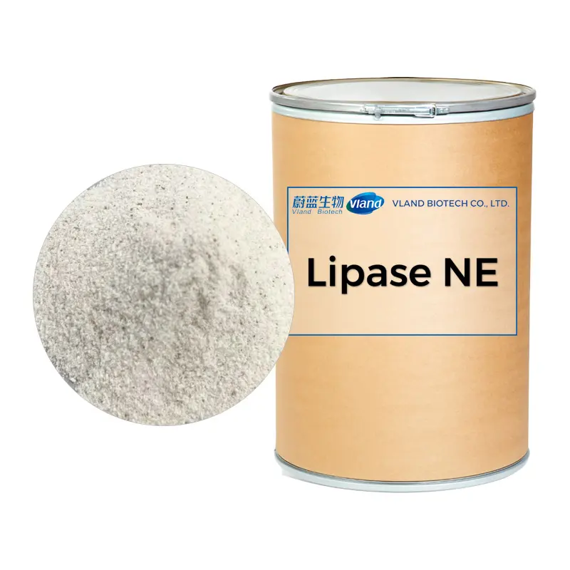 Lipase NE 1000000 U/G Phụ gia thực phẩm CAS 9001