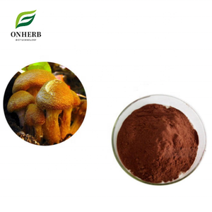 Fabrikversorgung: Standardisierter Gastrodia Tuder Halimasch Extrakt 99% Armillaria Mellea Extraktpulver - Product Image 1