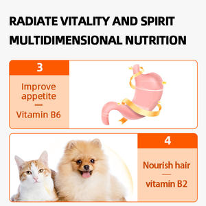 Les suppléments vitaminiques pour chiens et chats soutiennent le système immunitaire Supplément de soutien pour la santé des animaux de compagnie Comprimés à croquer - Product Image 5