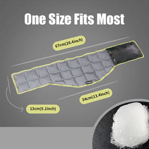 Paquete de calor de terapia para microondas World-bio New Style para productos para aliviar el dolor de cuello y hombro - Product Image 2