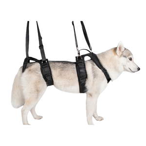 ใหม่สุนัขแยกสายรัดหน้าอกผู้พิการสุนัขป่วยผู้สูงอายุแมวสุนัขด้านหน้าด้านหลังขาเข็มขัดอุปกรณ์สัตว์เลี้ยง - Product Image 4