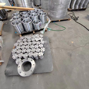 12.เหล็กคาร์บอน A105ครีบร่วมตักพร้อมปลายต้นขั้วสำหรับระบบการจัดตำแหน่งที่ง่าย - Product Image 1