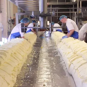 Peynir yapma makinesi Mozzarella peynir üretim hattı