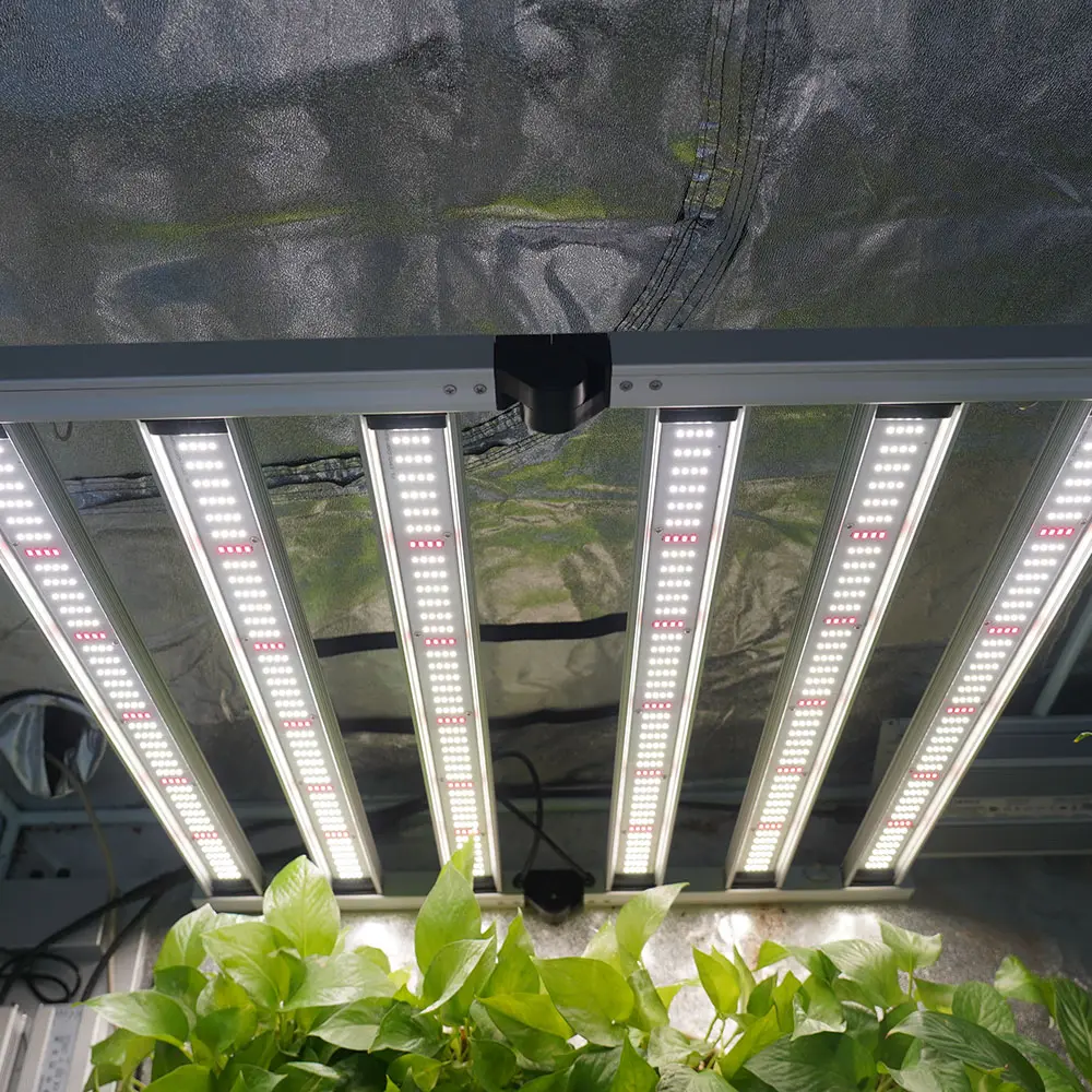 Maaadro oem odm customized 480w 800 watt 4 chanels 600w dimmable samsung lm301h 5x5 green house lighting led grow light