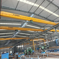 Gru a Ponte di Alta Qualità da 12 Tonnellate, Standard Europeo, per Impianti di Ingegneria di Precisione
