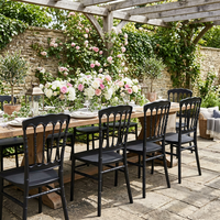Chaise de mariage Napoléon élégante avec support latéral unique et plastique résistant aux UV pour location événementielle empilable