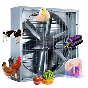 Kanatlı çiftlik evi için hayvancılık ekipmanı kutu soğutma havalandırma eksenel akış soğutma egzoz fanı