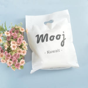 <strong>Ldpe</strong> Die Cut <strong>Handle</strong> Retail Plastic Packaging <strong>Bag</strong> for Shopping with Customized Print logo - Product Image 3