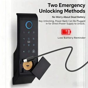 Serrure intelligente pour l'extérieur Serrure étanche en alliage d'aluminium Contrôle d'accès Porte sans fil Télé<span class=keywords><strong>commande</strong></span> TTlock Tuya NFC Empreinte digitale - Product Image 3