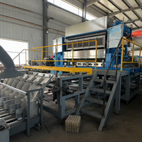 Machine automatique de fabrication de barquettes à œufs 7000 pièces/heure, équipement de moulage de pâte à papier haute capacité pour la production de barquettes à œufs, boîtes à œufs et barquettes à fruits