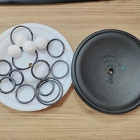 Suku Cadang Pompa Asli Wilden Wet Kit untuk Wilden P1, Diafragma PTFE dan Karet, Katup Bola dan O Ring Tersedia