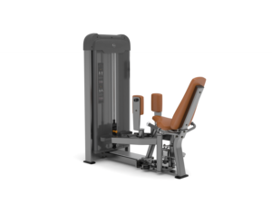 Anyfit PS06 Macchina per Esercizi Commerciale in Acciaio, Sedia Romana per Estensione Schiena con Pila di Pesi da 66kg in Vendita - Product Image 5