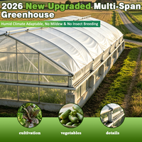 Grande serre tunnel multi-chapelles en PE avec film anti-goutte, taille personnalisable pour l'agriculture maraîchère