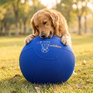 Leadershow OEM Custom Pet Horse Playing Chasing Toy Anti-burst <strong>Herding</strong> Yoga Ball with Strong 1680D 2520D Cover - Product Image 1