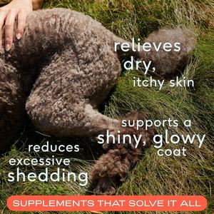 Complément alimentaire pour chien en forme de friandises molles avec oméga 3, marque privée, apaise la peau sèche et irritée et renforce le système immunitaire - Product Image 3