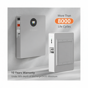 Sistema de Almacenamiento de Energía con Batería Lifepo4 LFP de 5kwh 10kwh 25kwh 24v 48v 200ah 100ah 51.2v - Product Image 1