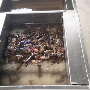 Máquina de Limpieza de Mariscos, Caracoles y Ostras de Alta Eficiencia con Rodillo de Cepillo, Lavadora de Vegetales de Raíz, Máquina de Lavado de Patatas y Calabazas - Product Image 3