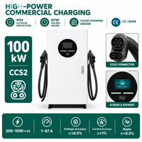 Borne de Recharge DC Publique CCS2 100kW Haute Puissance 200-1000V OCPP 1.6J pour Extérieur, Vente au Détail, Autoroute, Flotte, Stationnement, EVSE Commercial pour Véhicules Électriques