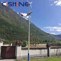 Poteau d'éclairage public extérieur LED hybride éolien-solaire Cishine, conception personnalisée, 6m, 8m, 9m, 10m, 12m, 30W, 60W, 90W