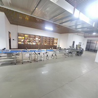 Ligne d'emballage automatique à alimentation par plateau Ding Yan Linkage, système d'emballage automatique haute vitesse pour gâteaux au jaune d'œuf et gâteaux de lune