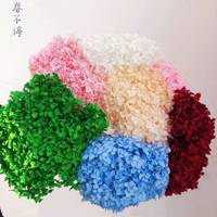 Prix d'usine en gros, hortensias séchés naturels colorés, fleurs préservées pour la Saint-Valentin, décoration de la maison/mariage