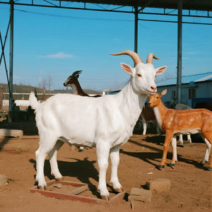 Tùy Chỉnh Mô Phỏng Dê Thực Tế Hoạt Hình Động Vật Mô Hình Động Cơ Điện Cho Trang Trại Công Viên Chủ Đề Trung Tâm Mua Sắm Nhà Chơi Nông Nghiệp - Product Image 4